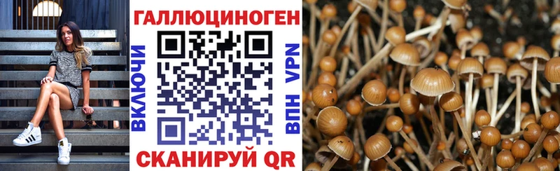 хочу   Артёмовский  Галлюциногенные грибы GOLDEN TEACHER 
