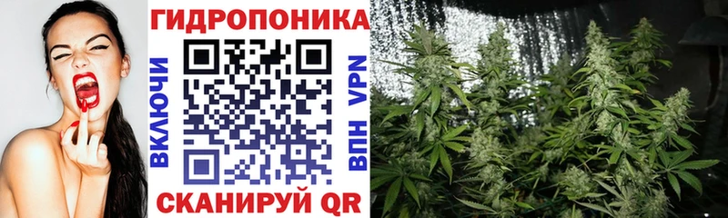 Канабис White Widow  Артёмовский 